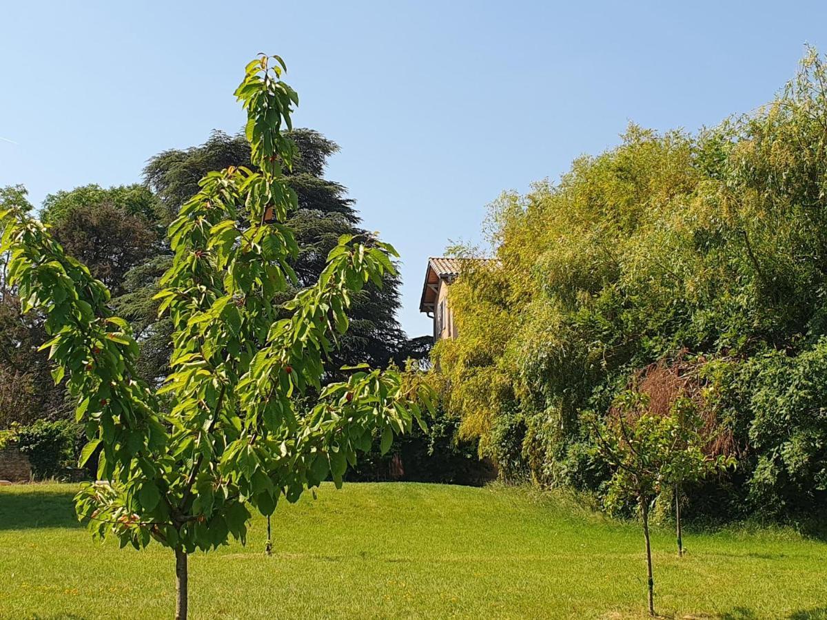 Villa Douceurs Des Vignes Du Vivian Denicé Exterior foto